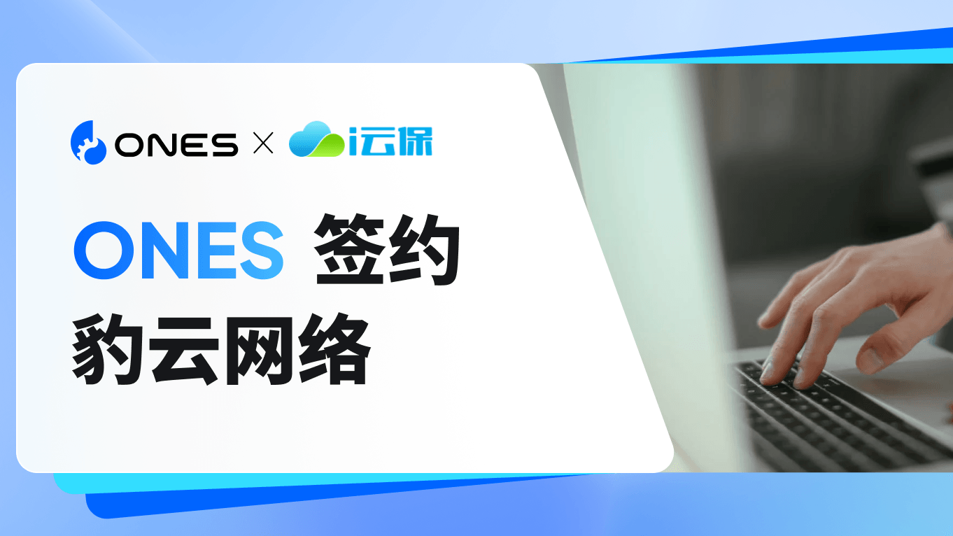 豹云网络封面图.png