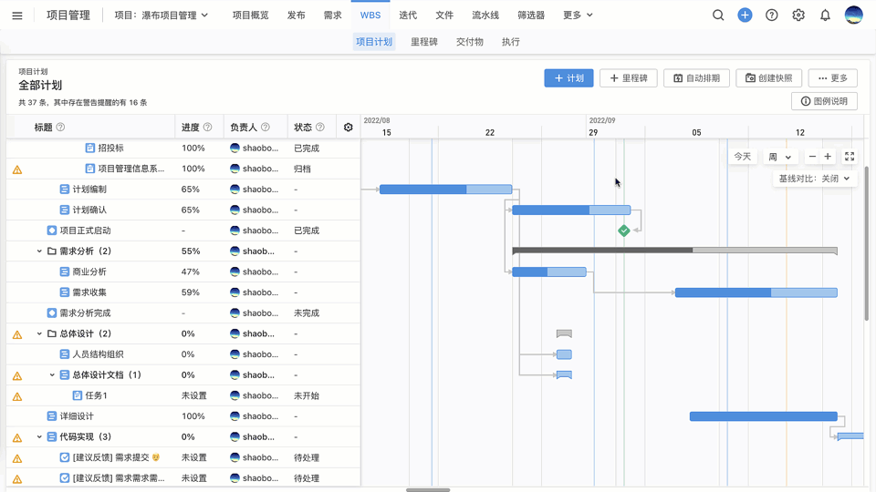 WBS 项目管理