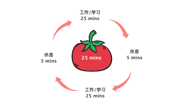 进度安排